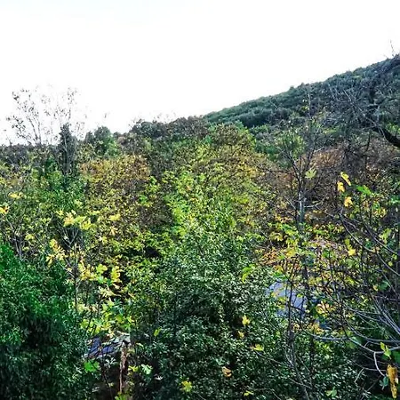 Dandy Villas-vintage House-pelion-argalasti-kallithea