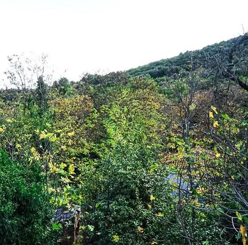 Dandy Villas-vintage House-pelion-argalasti-kallithea